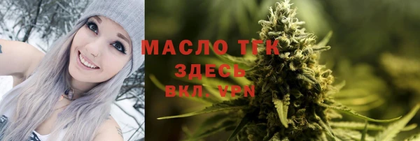 индика Абинск