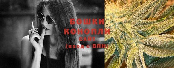 PSILOCYBIN Абдулино