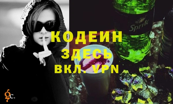индика Абинск