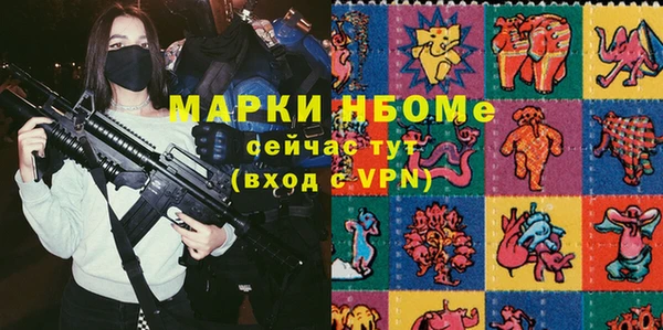 индика Абинск