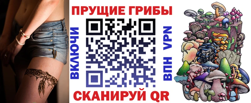 где продают Весьегонск Галлюциногенные грибы мицелий